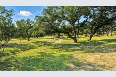 134 Stallion Estates Drive, Spring Branch, TX 78070 - Photo 10