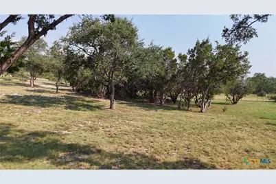 134 Stallion Estates Drive, Spring Branch, TX 78070 - Photo 6