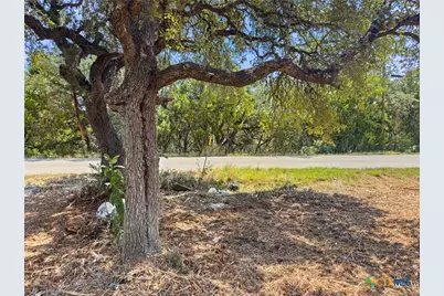 1107 High Point Lane, Spring Branch, TX 78070 - Photo 2