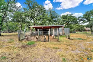 162 Champions Blvd, La Vernia, TX 78121 - Photo 8