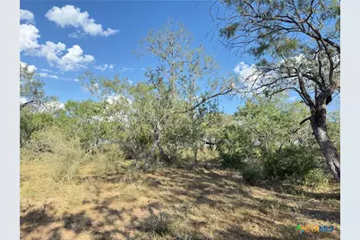 421 Zion Hill Road, Seguin, TX 78155 - Photo 16