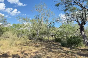 421 Zion Hill Rd, Seguin, TX 78155 - Photo 16