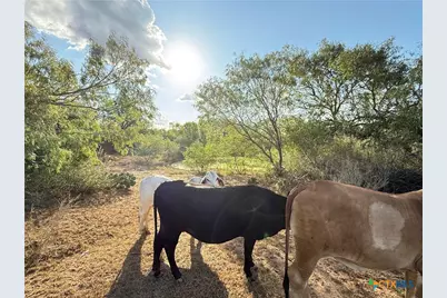 421 Zion Hill Road, Seguin, TX 78155 - Photo 18