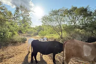 421 Zion Hill Rd, Seguin, TX 78155 - Photo 18