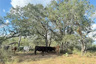 421 Zion Hill Rd, Seguin, TX 78155 - Photo 10