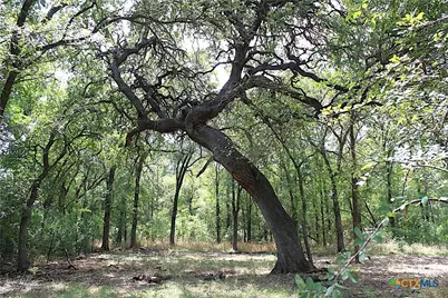 4545 West Drive, Belton, TX 76513 - Photo 10