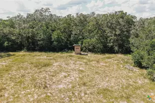 1662 Jentry Rd, Inez, TX 77968 - Photo 10