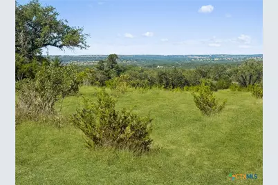 820 Stone Ridge Mountain Drive, Round Mountain, TX 78663 - Photo 10