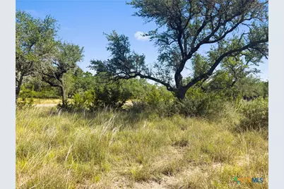 820 Stone Ridge Mountain Drive, Round Mountain, TX 78663 - Photo 8