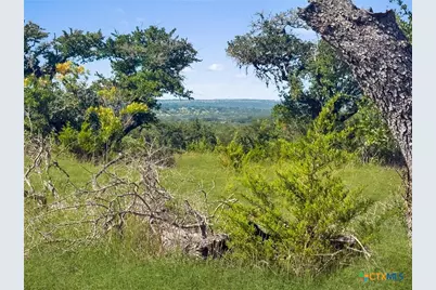 820 Stone Ridge Mountain Drive, Round Mountain, TX 78663 - Photo 6