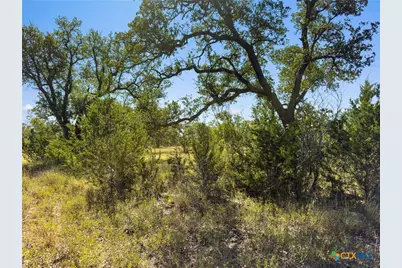 820 Stone Ridge Mountain Drive, Round Mountain, TX 78663 - Photo 12