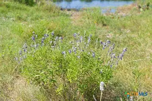 000 County Road 106, Lampasas, TX 76550 - Photo 30