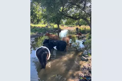 2029 County Road 200, Burnet, TX 78611 - Photo 8