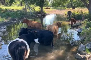 2029 Co Rd 200, Burnet, TX 78611 - Photo 8