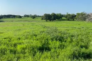 2029 Co Rd 200, Burnet, TX 78611 - Photo 14