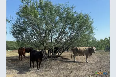 120 N Camino Real Highway, Kyle, TX 78640 - Photo 12