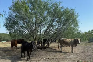 120 N Camino Real Hwy, Kyle, TX 78640 - Photo 12