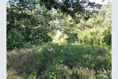 293 County Road 460, Hallettsville, TX 77964 - Photo 10