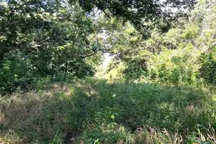 293 Co Rd 460, Hallettsville, TX 77964 - Photo 10