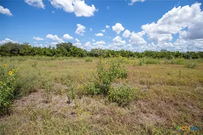 000 County Road 647, Mathis, TX 78368 - Photo 40