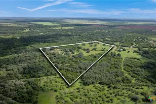 1033 FM 1351, Goliad, TX 77963 - Photo 34