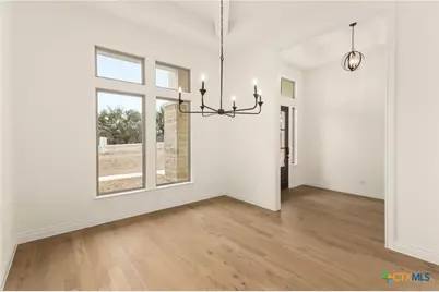 141 Gadwall Way, Spring Branch, TX 78070 - Photo 6