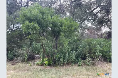 1652 Comfort, Canyon Lake, TX 78133 - Photo 1