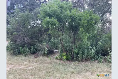 1652 Comfort, Canyon Lake, TX 78133 - Photo 2