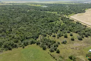 0 Cr 394, El Campo, TX 77437 - Photo 2