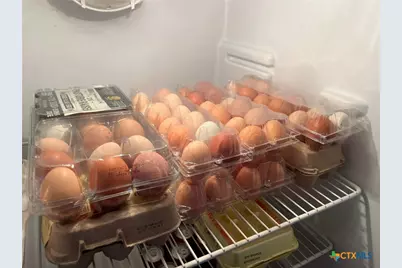 3196 Rene Street, Copperas Cove, TX 76522 - Photo 20