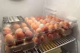 3196 Rene St, Copperas Cove, TX 76522 - Photo 20