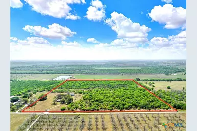 1212 County Road 337, La Vernia, TX 78121 - Photo 4
