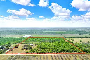 1212 County Rd 337, La Vernia, TX 78121 - Photo 4