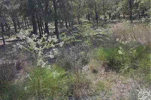 1988 Cr 116, Rogers, TX 76569 - Photo 8