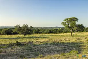 Tbd 98 73 Acres Triple 3 Ranch, Blanco, TX 78606 - Photo 26