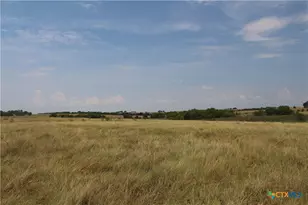 Tba County Road 417, Taylor, TX 76574 - Photo 4