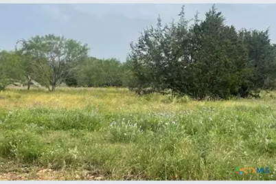 Lot 175 Heartleaf Drive, Lampasas, TX 76550 - Photo 2