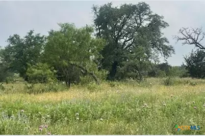 Lot 175 Heartleaf Drive, Lampasas, TX 76550 - Photo 4