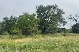 Lot 175 Heartleaf Dr, Lampasas, TX 76550 - Photo 4