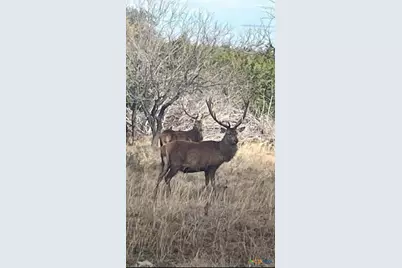 Lot 175 Heartleaf Drive, Lampasas, TX 76550 - Photo 12
