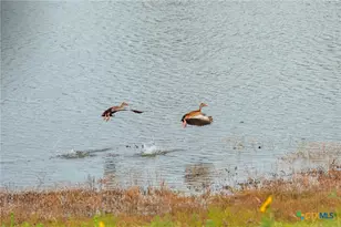 00 County Road 284, Liberty Hill, TX 78642 - Photo 6