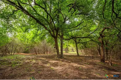 00 County Road 284, Liberty Hill, TX 78642 - Photo 16