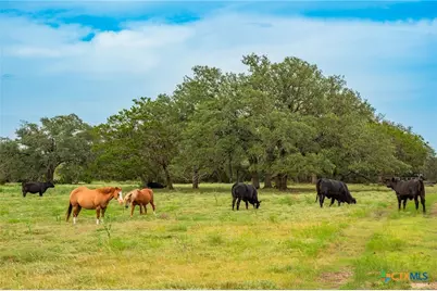 00 County Road 284, Liberty Hill, TX 78642 - Photo 10