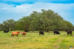 00 County Road 284, Liberty Hill, TX 78642 - Photo 10
