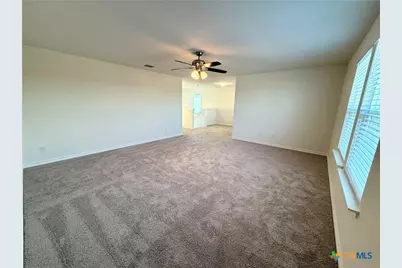 433 Panther Pass, Seguin, TX 78155 - Photo 30