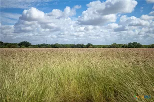 546 PR Goose Creek Ln, Jourdanton, TX 78026 - Photo 16