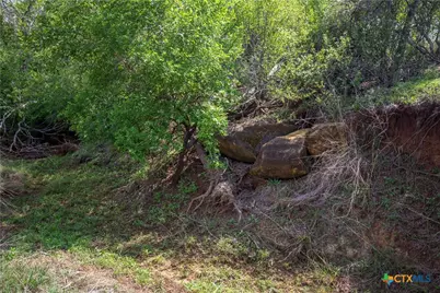 546 Pr Goose Creek Lane, Jourdanton, TX 78026 - Photo 34