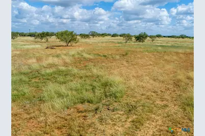 546 Pr Goose Creek Lane, Jourdanton, TX 78026 - Photo 8