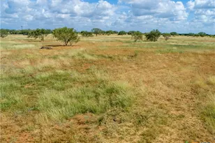 546 PR Goose Creek Ln, Jourdanton, TX 78026 - Photo 8