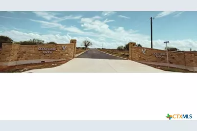 546 Pr Goose Creek Lane, Jourdanton, TX 78026 - Photo 2